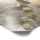 Hummingbird 5265 fotodruck (Ecke)