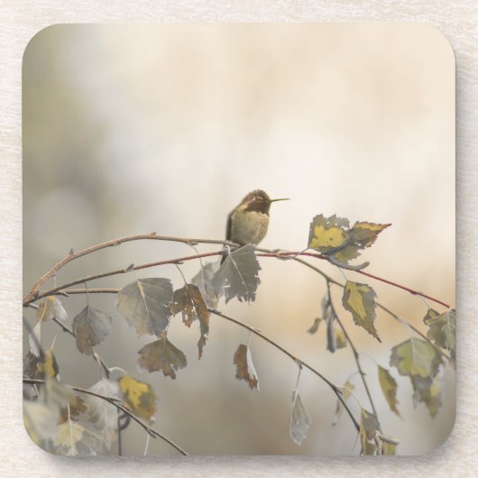 Hummingbird 5265 getränkeuntersetzer (Vorderseite)