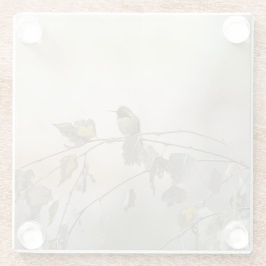 Hummingbird 5265 glasuntersetzer (Rückseite)