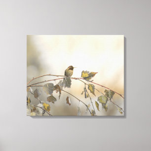 Hummingbird 5265 leinwanddruck