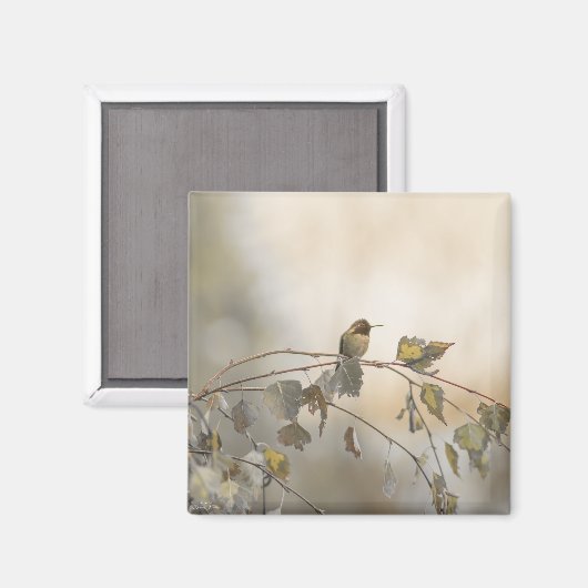 Hummingbird 5265 magnet (Vorderseite/Rückseite)