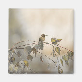 Hummingbird 5265 magnet (Vorne)