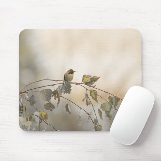 Hummingbird 5265 mousepad (Mit Mouse)