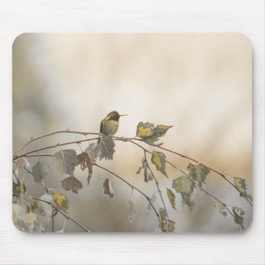 Hummingbird 5265 mousepad (Vorne)