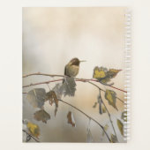 Hummingbird 5265 planer (Rückseite)