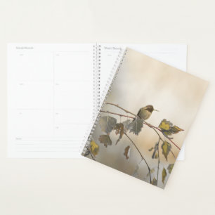 Hummingbird 5265 planer