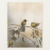 Hummingbird 5265 planer (Vorderseite)