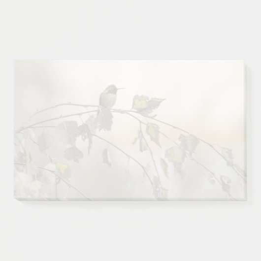 Hummingbird 5265 post-it klebezettel (Vorderseite)