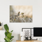 Hummingbird 5265 poster (Heimbüro)