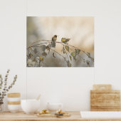 Hummingbird 5265 poster (Küche)