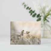 Hummingbird 5265 postkarte (Stehend Vorderseite)