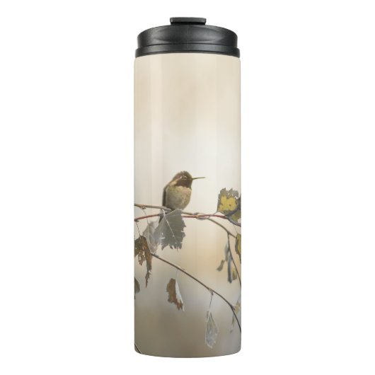 Hummingbird 5265 thermosbecher (Vorderseite)