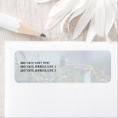 Hummingbird 5738 (Insitu)