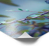 Hummingbird 5738 fotodruck (Ecke)