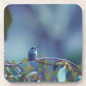 Hummingbird 5738 getränkeuntersetzer (Vorderseite)