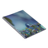 Hummingbird 5738 notizblock (Rechte Seite)