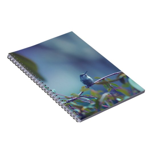 Hummingbird 5738 notizblock (Rechte Seite)