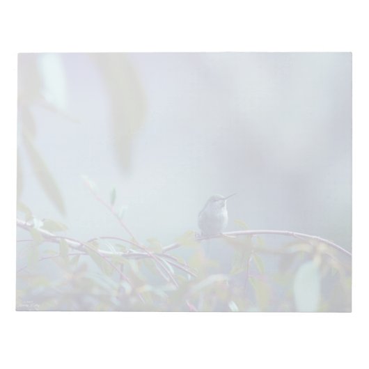 Hummingbird 5738 notizblock (Vorderseite)