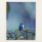 Hummingbird 5738 planer (Vorderseite)