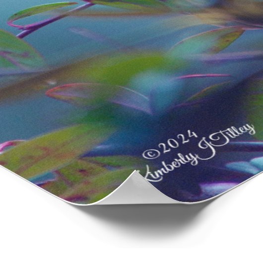 Hummingbird 5738 poster (Ecke)