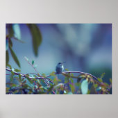 Hummingbird 5738 poster (Vorne)