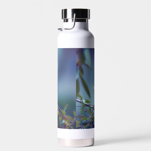 Hummingbird 5738 trinkflasche (Rechts)