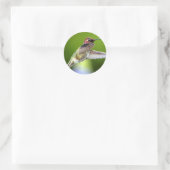 Hummingbird (5) runder aufkleber (Tasche)