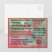 Hummingbird Academy Information Post Card Postkarte (Vorne/Hinten)