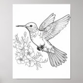 Hummingbird Adult Coloring Poster (Vorne)