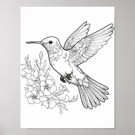 Hummingbird Adult Coloring Poster (Vorne)