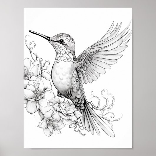 Hummingbird Adult Coloring Poster (Vorne)