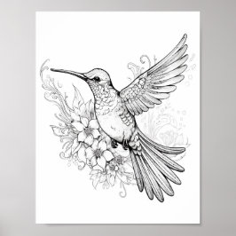 Hummingbird Adult Coloring Poster