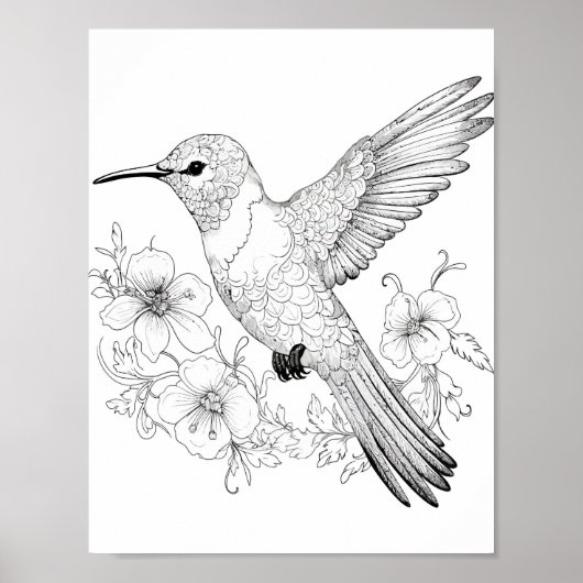 Hummingbird Adult Coloring Poster (Vorne)