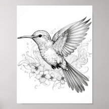 Hummingbird Adult Coloring