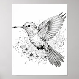 Hummingbird Adult Coloring Poster