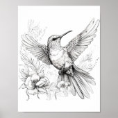 Hummingbird Adult Coloring Poster (Vorne)