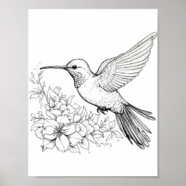 Hummingbird Adult Coloring Poster
