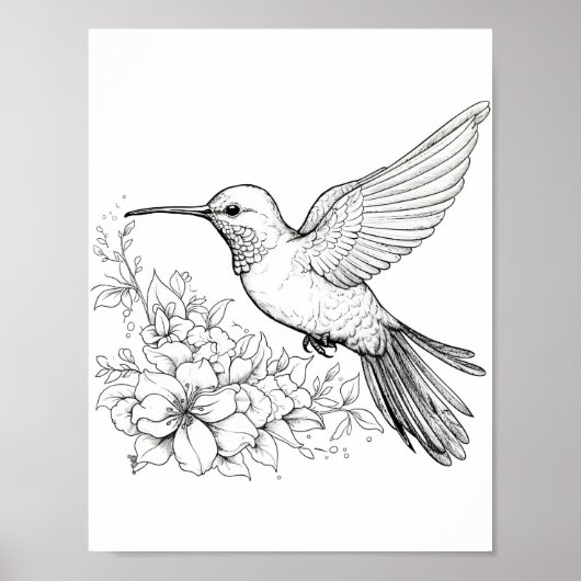Hummingbird Adult Coloring Poster (Vorne)