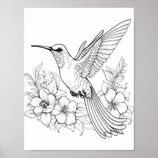 Hummingbird Adult Coloring Poster (Vorne)