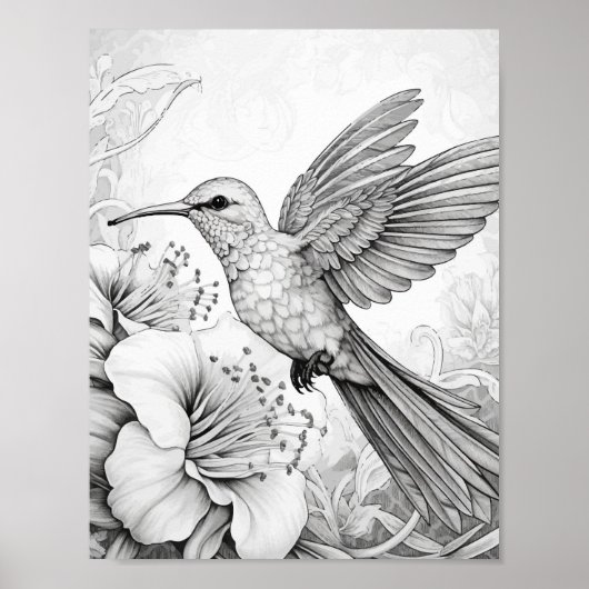 Hummingbird Adult Coloring Poster (Vorne)