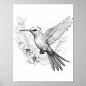 Hummingbird Adult Coloring Poster (Vorne)