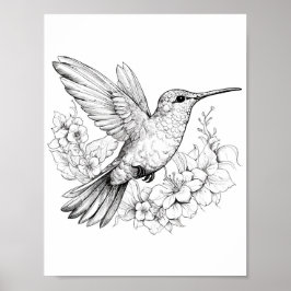 Hummingbird Adult Coloring Poster