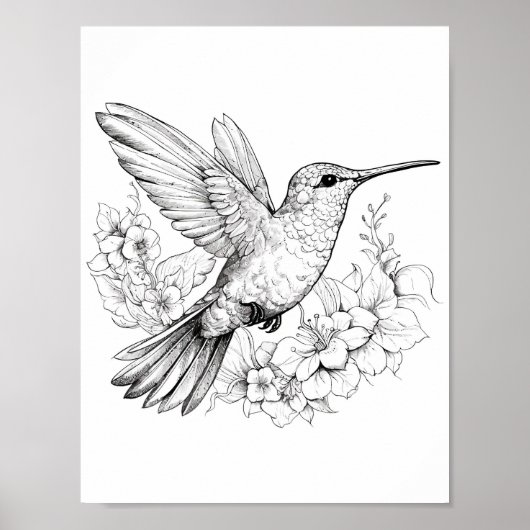 Hummingbird Adult Coloring Poster (Vorne)