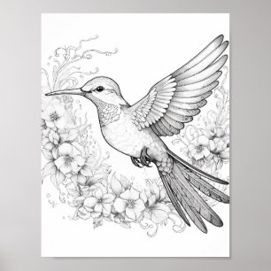 Hummingbird Adult Coloring Poster