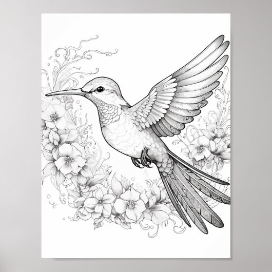 Hummingbird Adult Coloring Poster (Vorne)