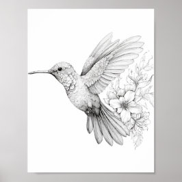 Hummingbird Adult Coloring Poster