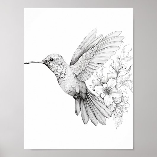 Hummingbird Adult Coloring Poster (Vorne)