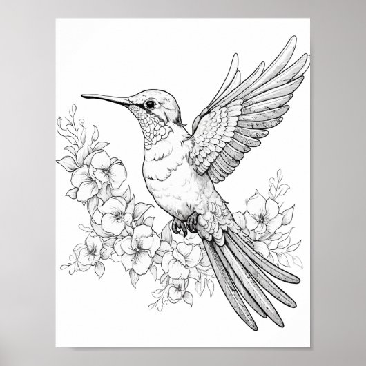 Hummingbird Adult Coloring Poster (Vorne)