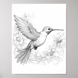 Hummingbird Adult Coloring Poster