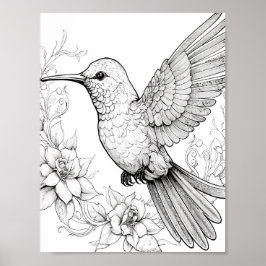 Hummingbird Adult Coloring Poster